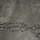 Image for article titled Photos: Aerial shots showcase Australia’s brutal drought
